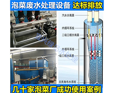 FL泡菜廢水處理設(shè)備 廠家直···